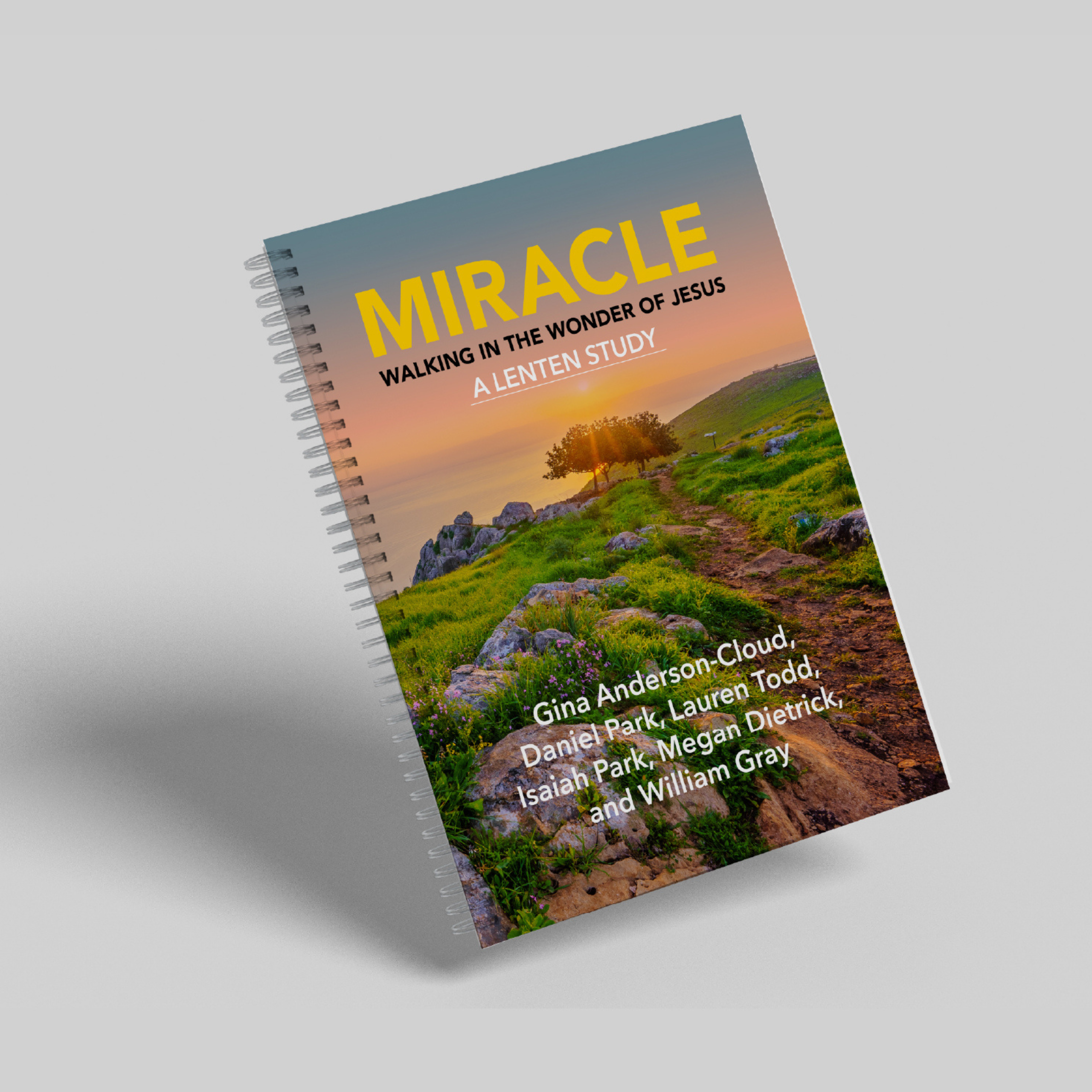 Miracle: Walking in the Wonder of Jesus - A Lenten Study spiraled book.