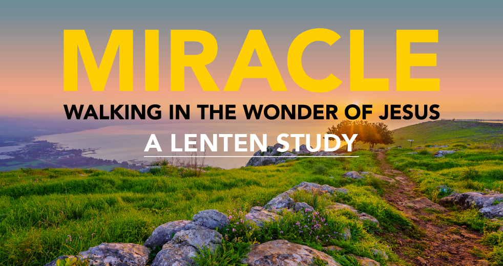 Miracle: Walking in the Wonder of Jesus - A Lenten Series with background of shadowy people walking on a journey